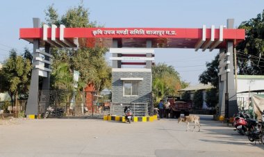 शाजापुर कृषि मंडी में लाखों का खेल कर रहे व्यापारी