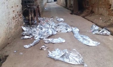  खबरीराम पड़ताल: ये है शाजापुर की गंदी गली!, पता भी एकदम वीआइपी