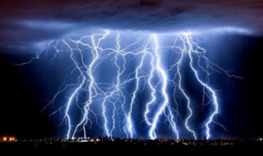 मप्र में दर्दनाक हादसा: एक घंटा पहले स्कूल की छुट्टी, पेड़ के नीचे तीन बच्चों की मौत