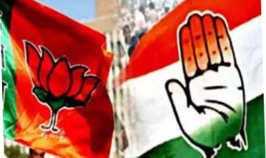 नगर पालिका चुनाव: शाजापुर के दो वरिष्ठ पत्रकारों ने किया आकलन, किसके सिर होगा ताज