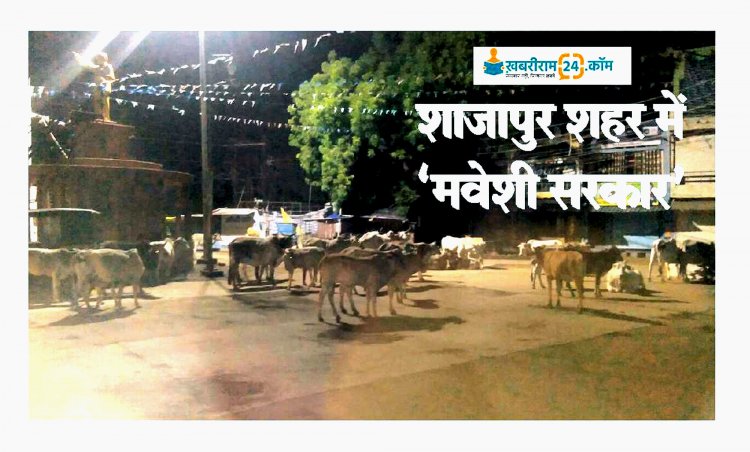 खबरीराम लाइव: शाजापुर में ‘‘मवेशी सरकार’’