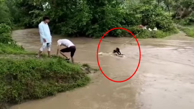 मप्र के दो गांवों की तस्वीर: उज्जवल भविष्य के लिए बच्चों की जान का जोखिम