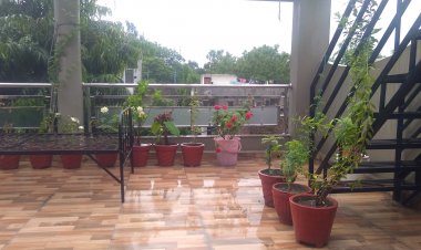 Weather Update : रक्षाबंधन पर झूमे बादल, दिनभर में 1.5 इंच मेहरबानी