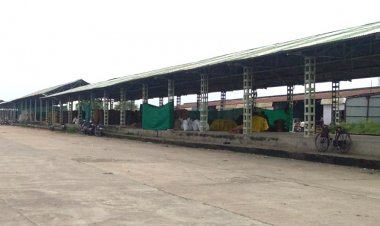 SHAJAPUR: कृषि उपज मंडी के शेड पर व्यापारियों का कब्जा!