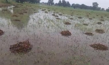 Weather Update : जाने से पहले झूम रहा मानसून, शाजापुर में यह हाल