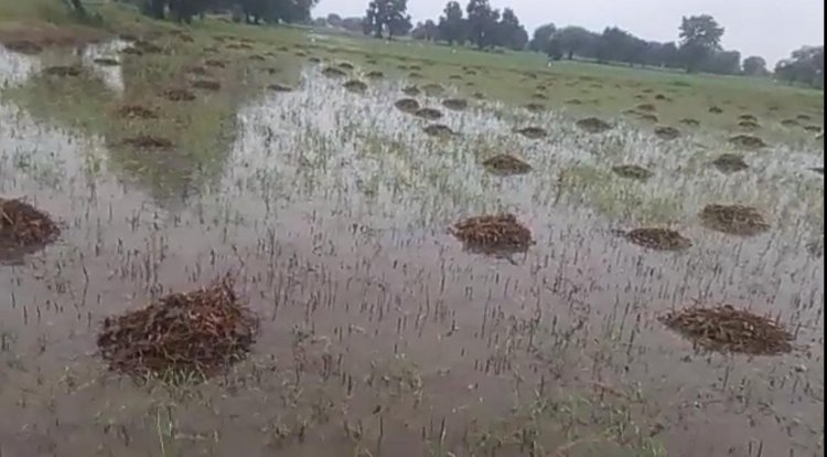 Weather Update : जाने से पहले झूम रहा मानसून, शाजापुर में यह हाल