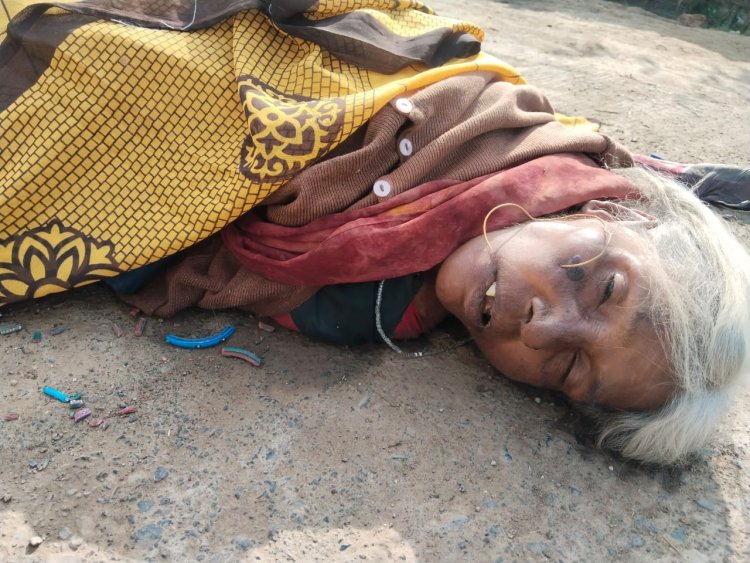 अभयपुर में स्कूल की बस की चपेट में आने से बुजुर्ग महिला की मौत 