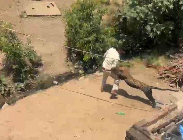 गांव में तेंदुआ का आतंक एक महिला सहित चार लोग ओर एक वनकर्मी घायल